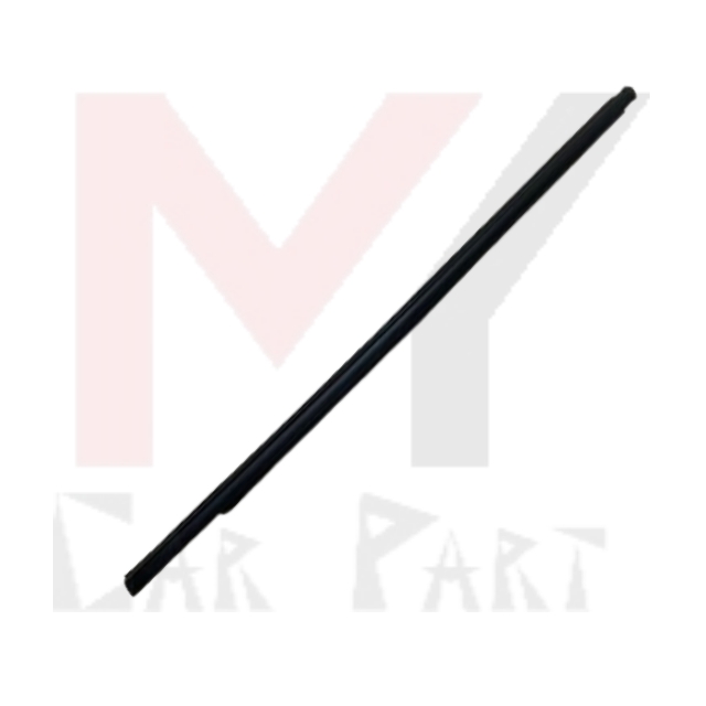 W/STRIP ASSY-RR DR BELT O/S LH