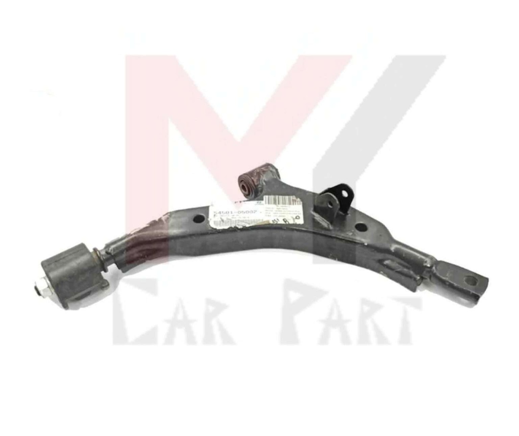 SUSPENSION ARM RH SANTRO XING